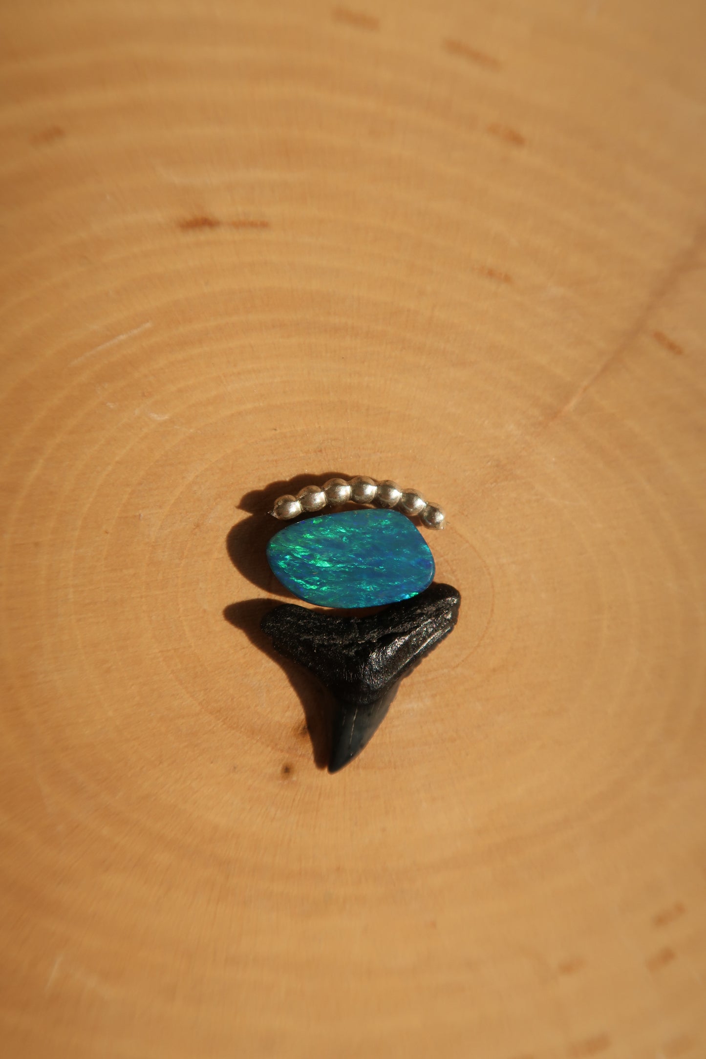 Opal and shark tooth