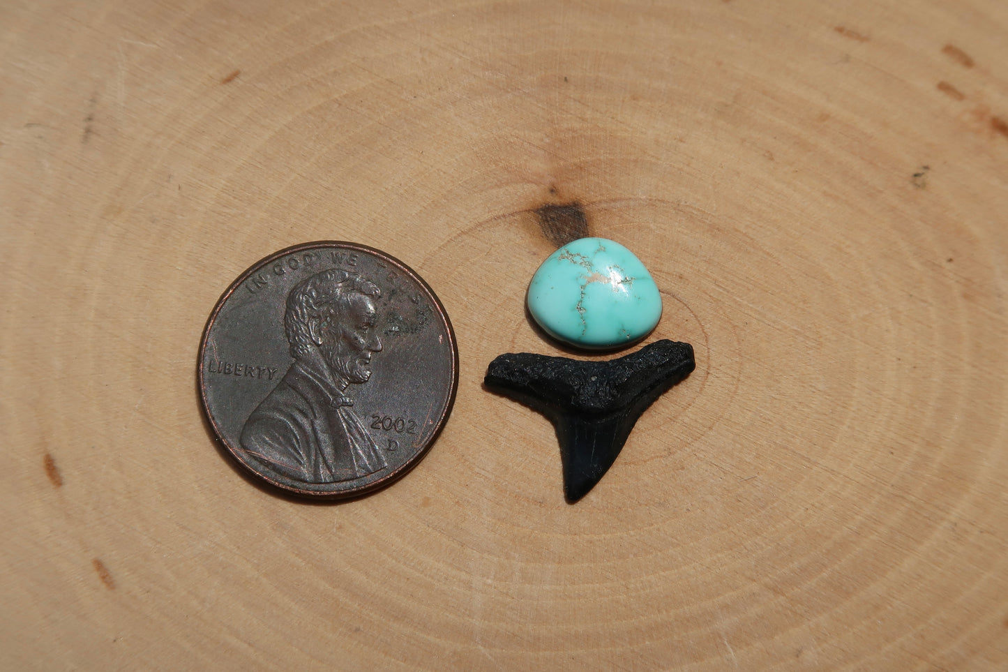 Turquoise and shark tooth ring