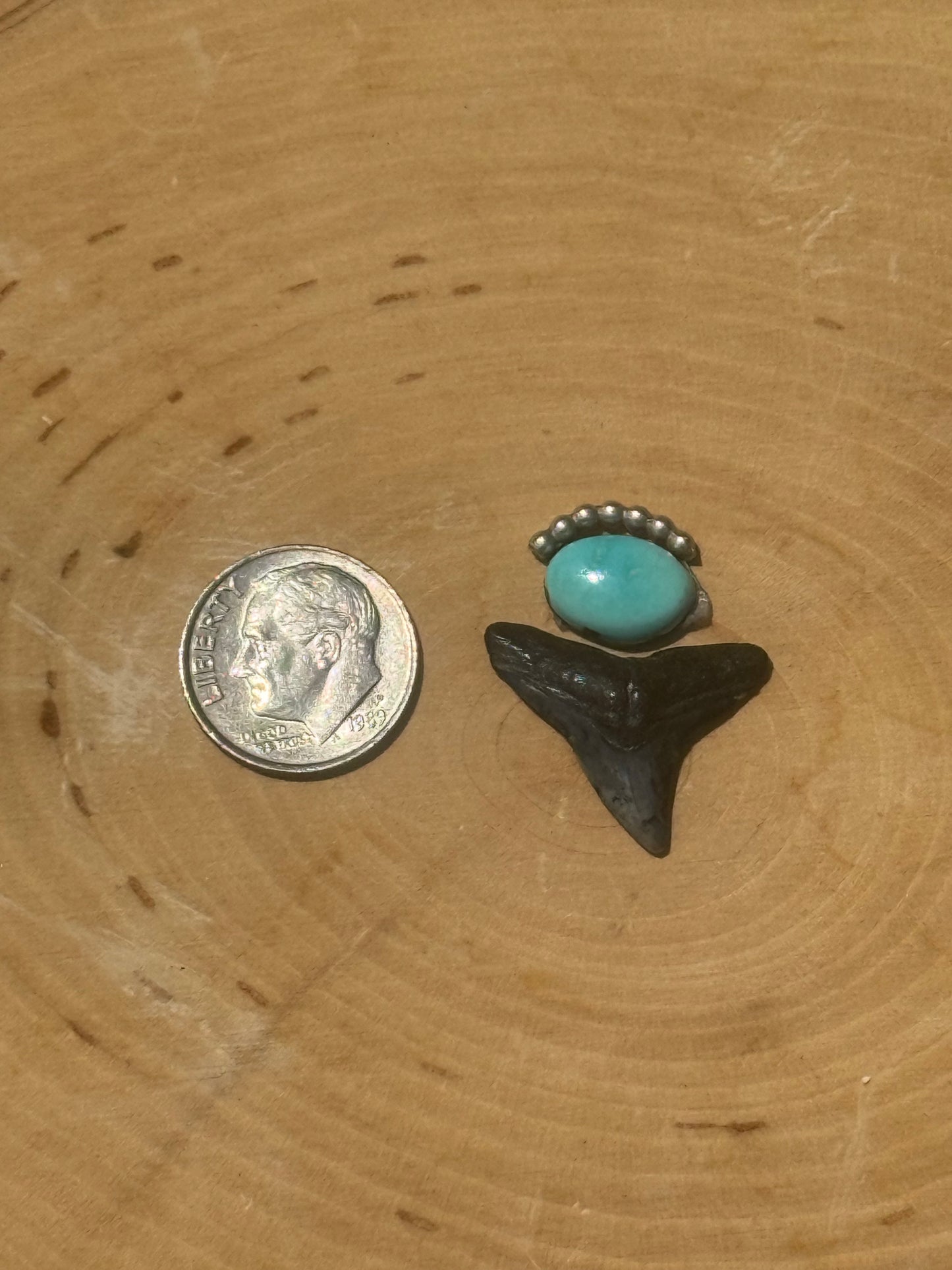 Turquoise & shark tooth ring- made in your size!