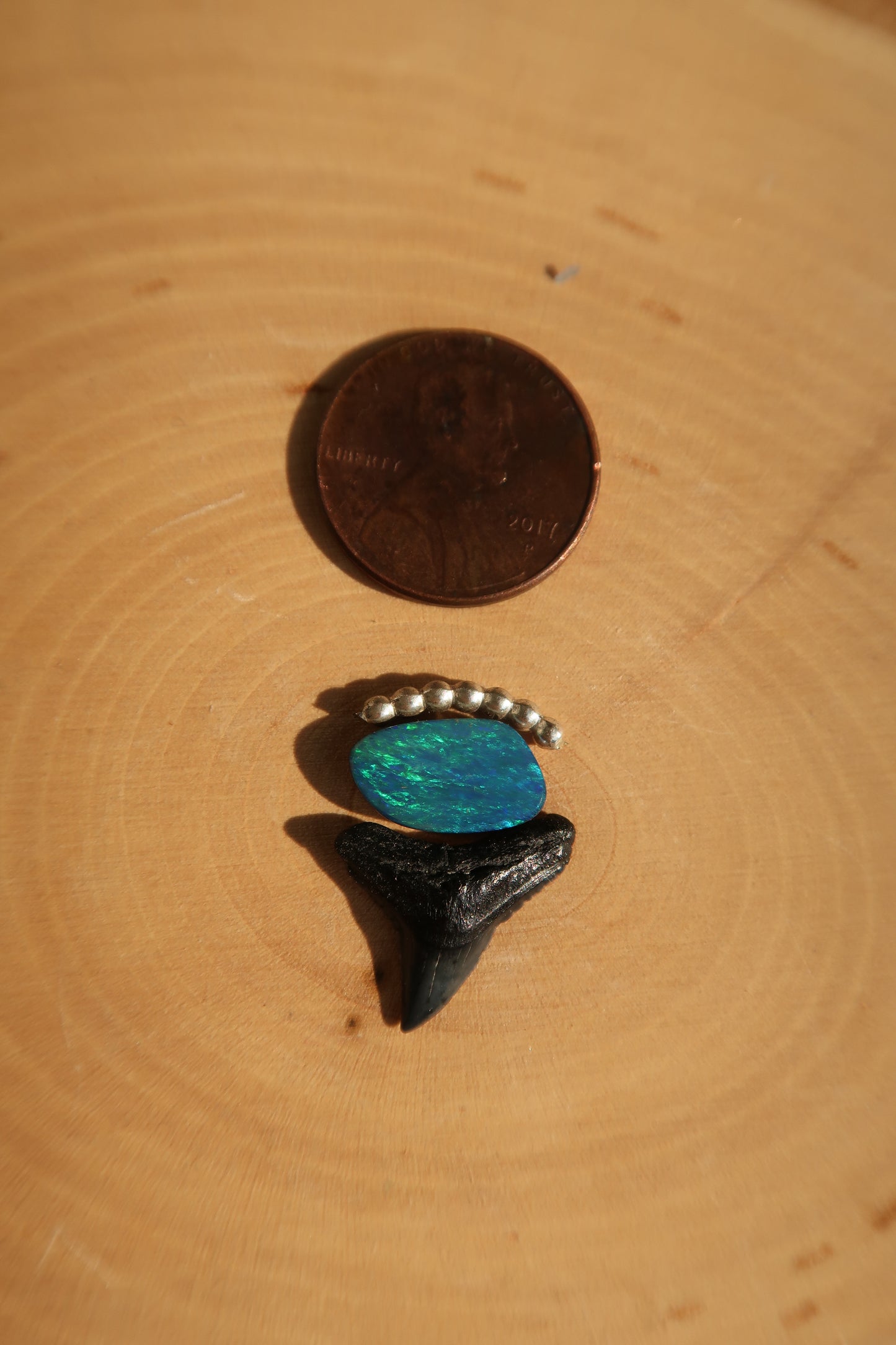 Opal and shark tooth