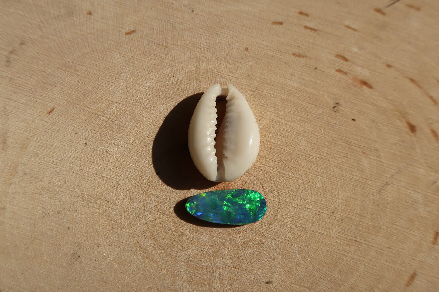 Cowrie shell and opal ring