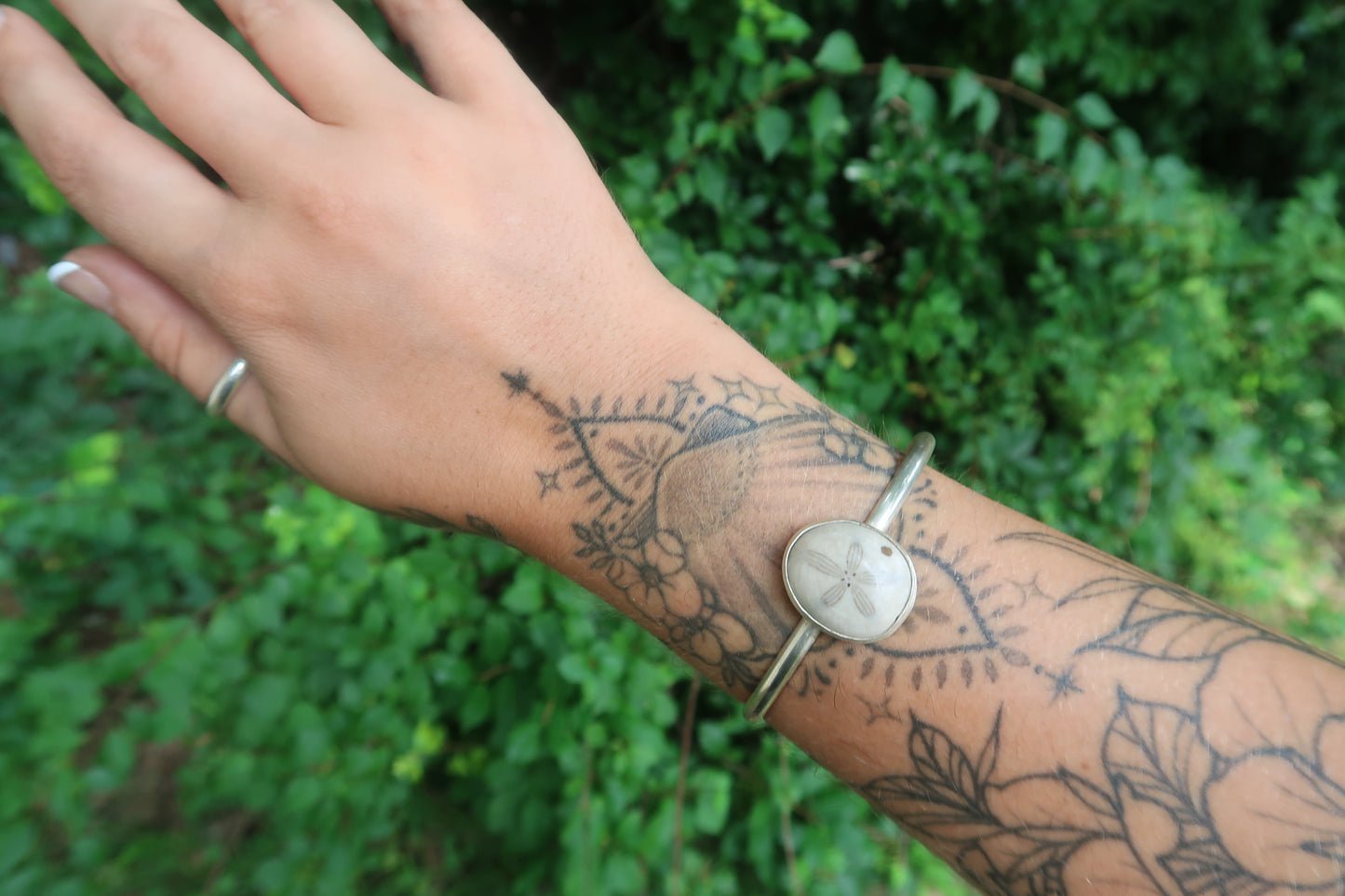 Sea biscuit cuff