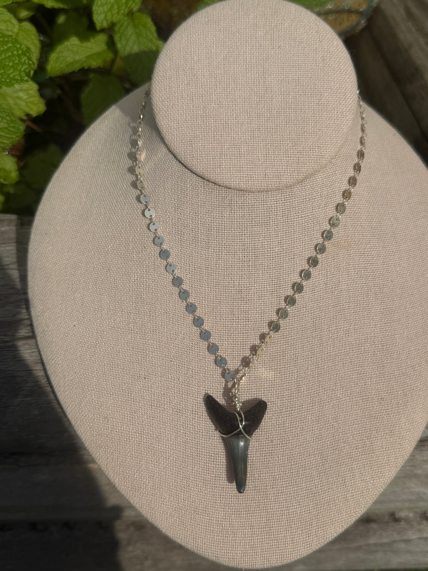 Wire wrapped shark tooth disc chain necklace 18”