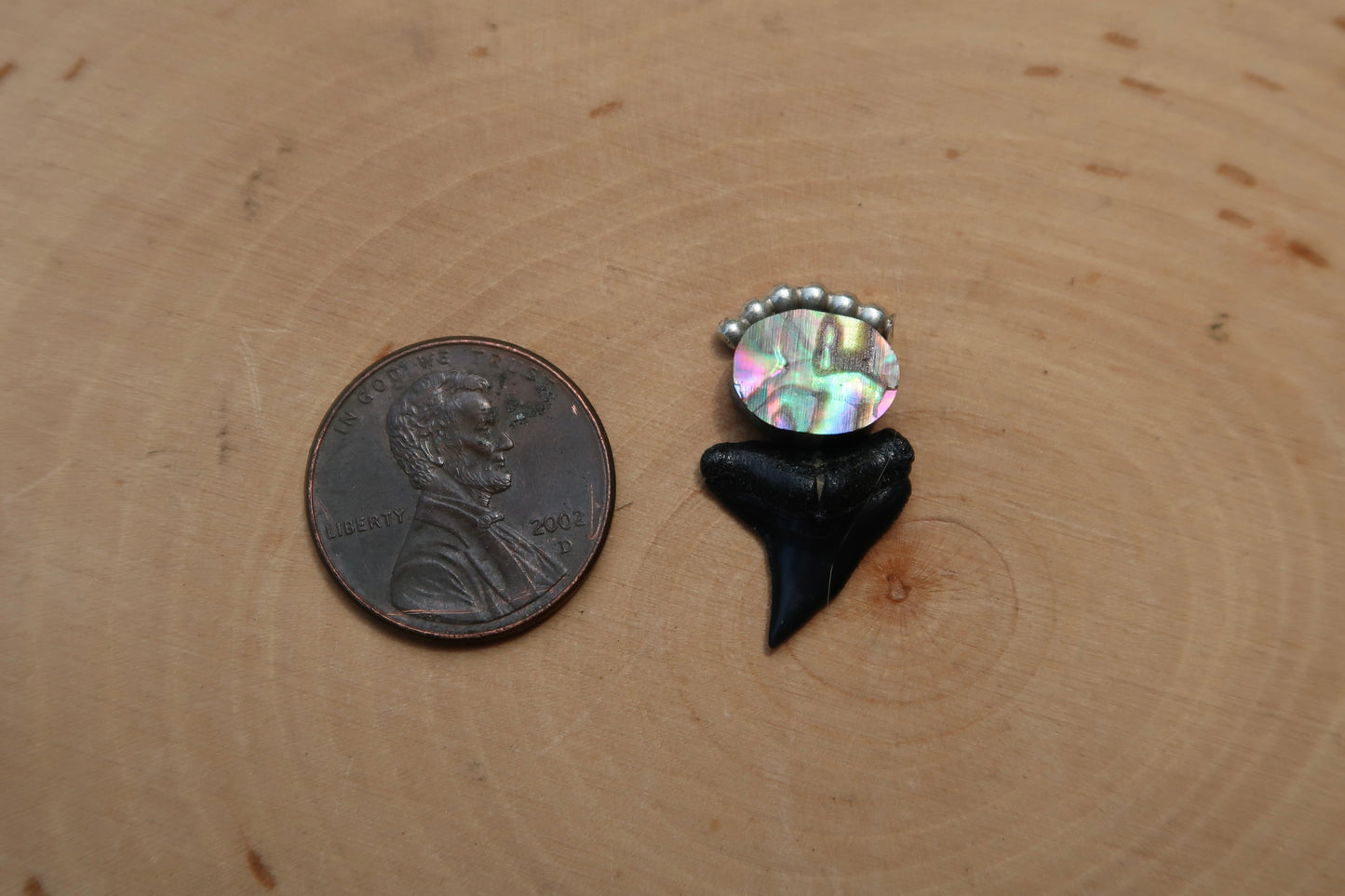 “Touch of pink” abalone shark tooth ring