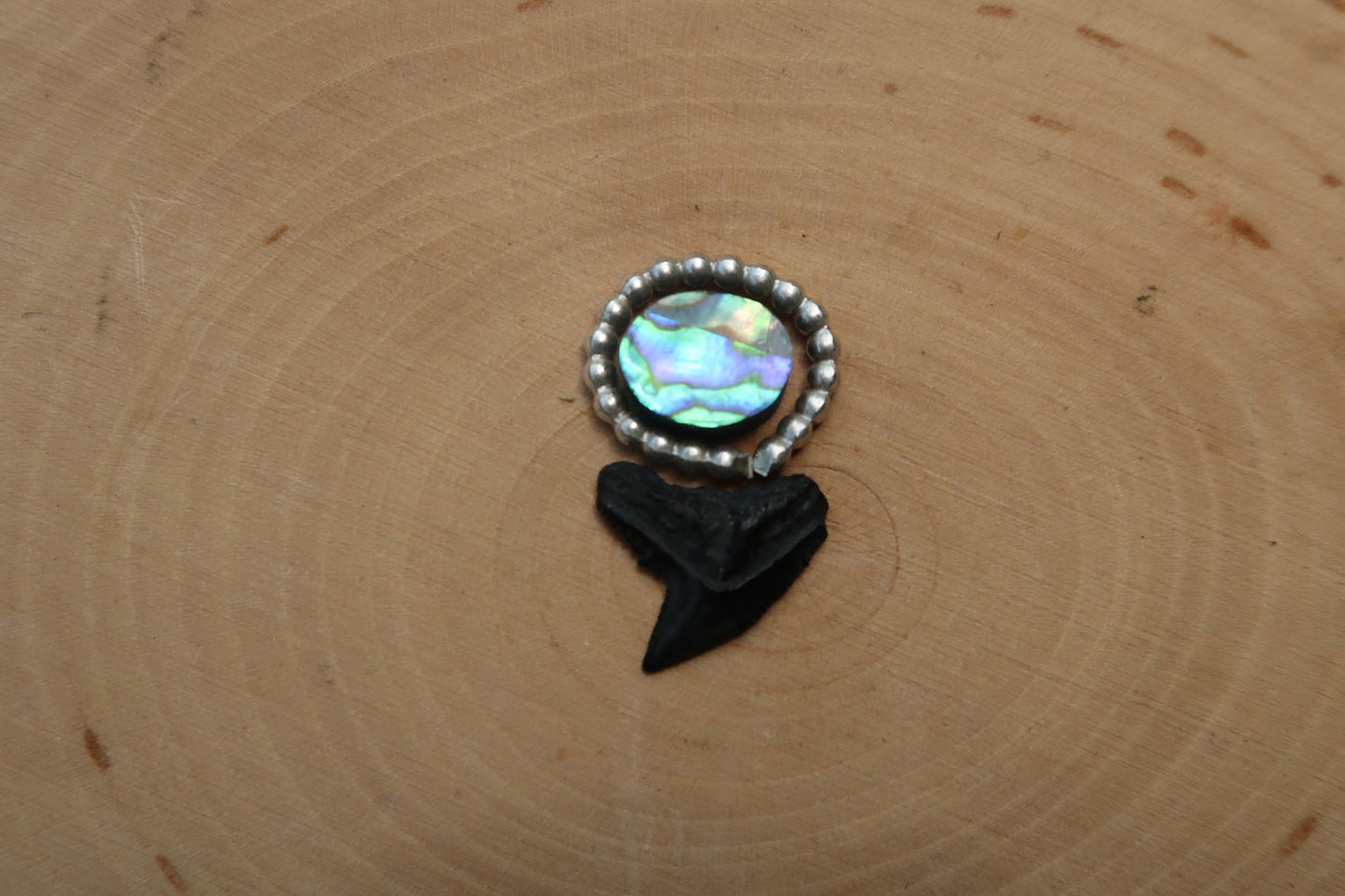 “Ocean eye” abalone shark tooth ring
