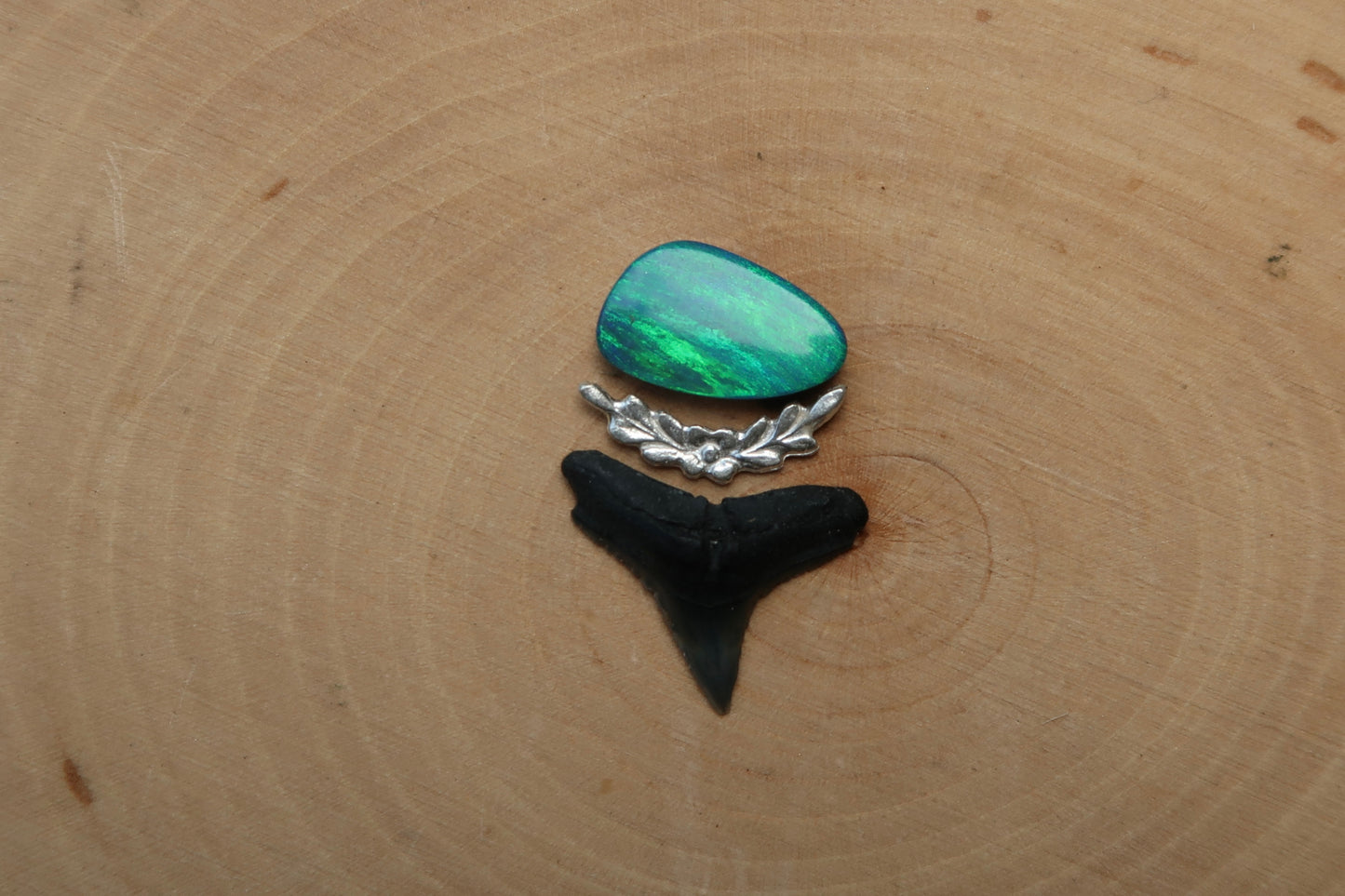 Opal and shark tooth