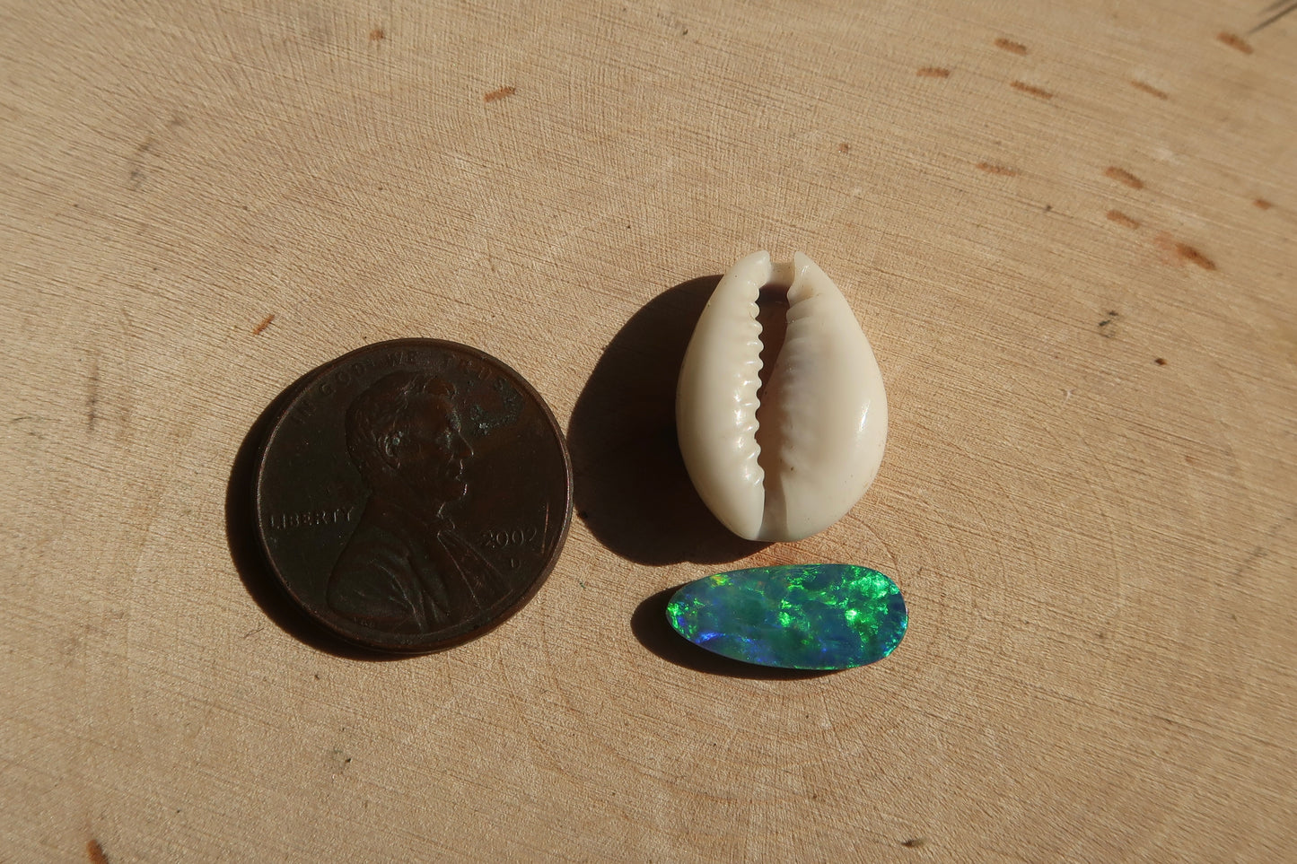 Cowrie shell and opal ring