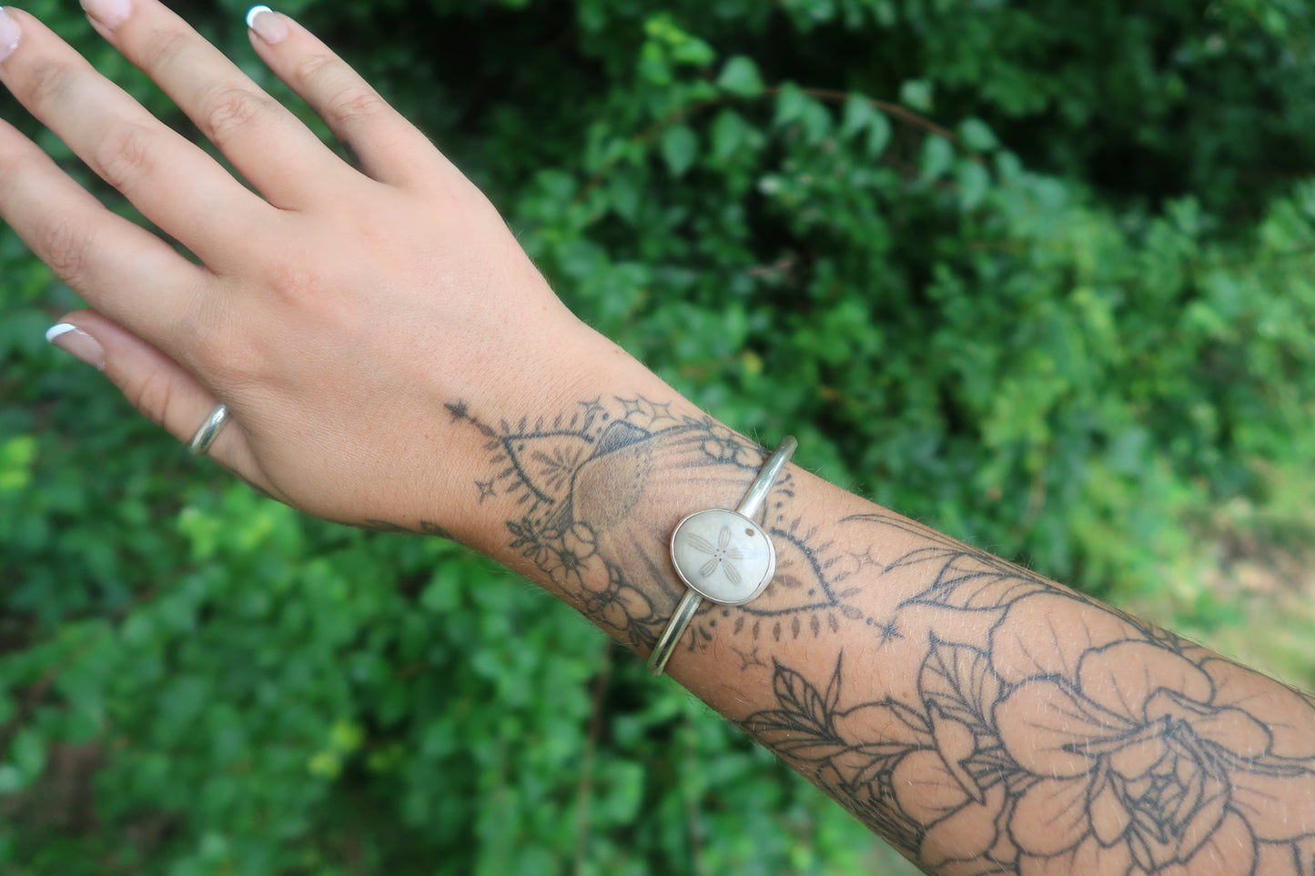 Sea biscuit cuff
