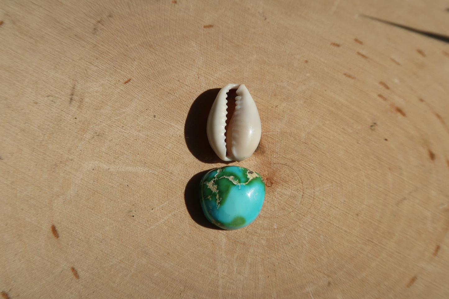 Earthy turquoise and cowrie shell ring