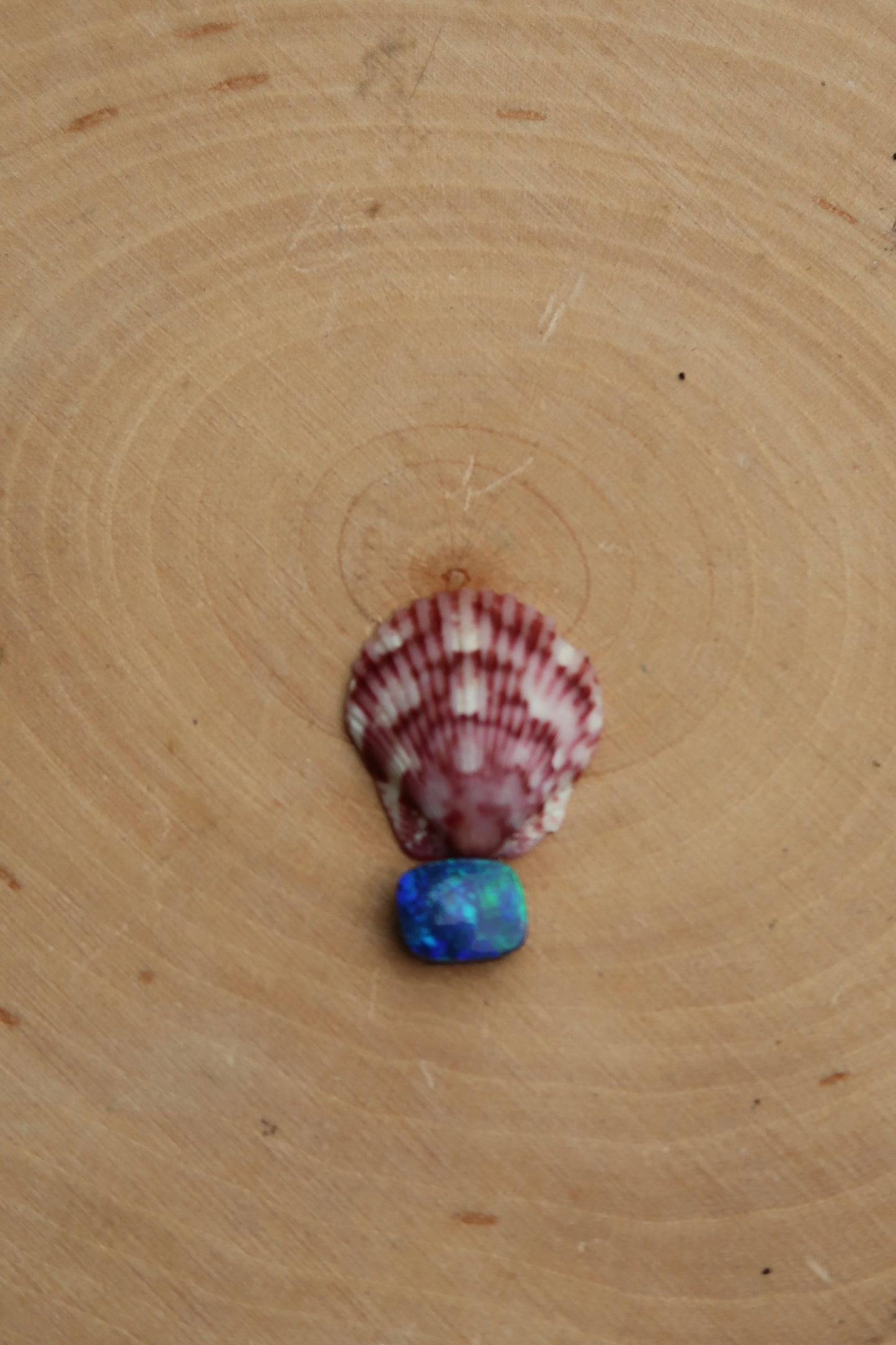 Pink shell and blue opal