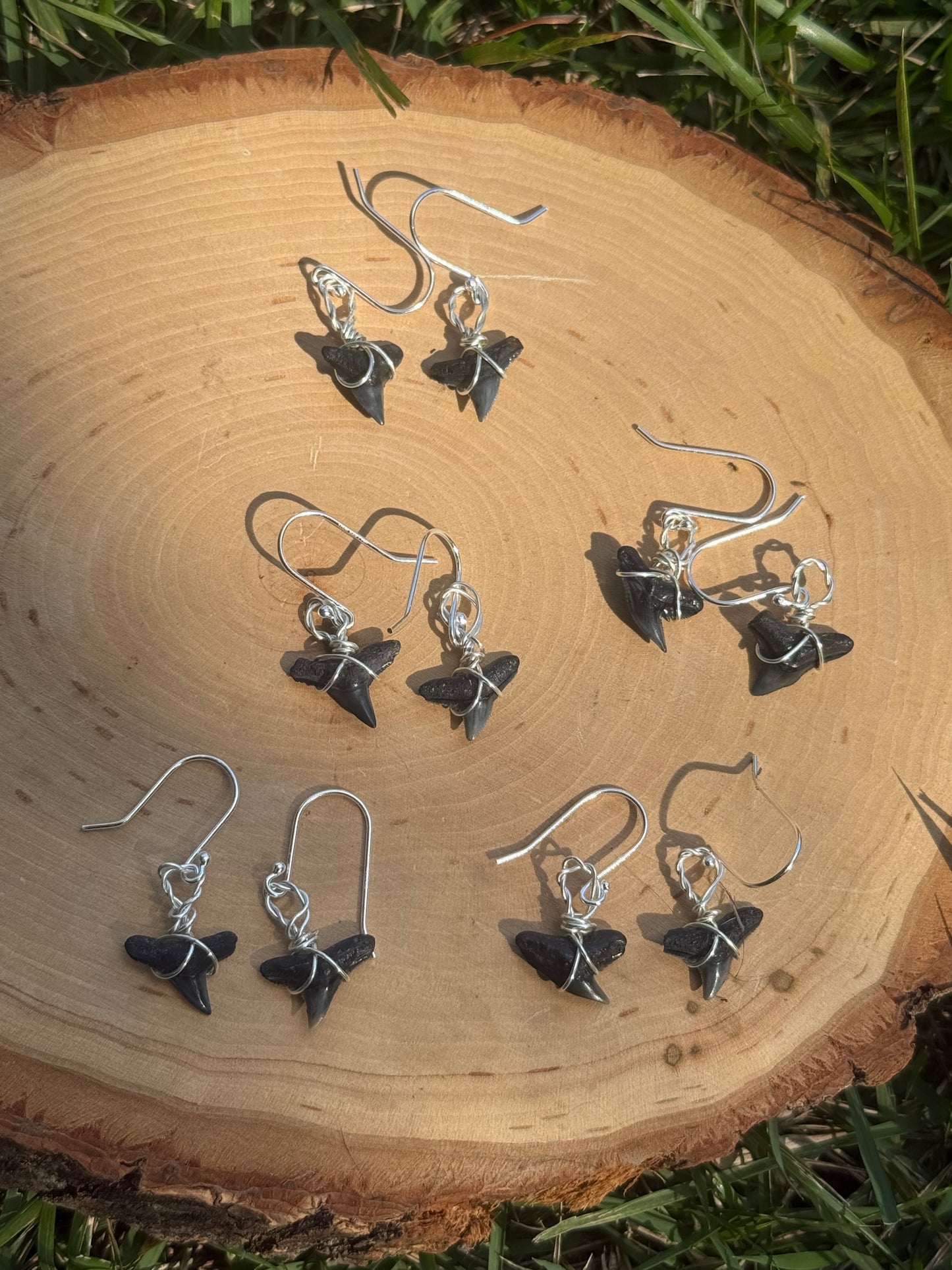 One pair of wire wrapped sterling silver shark tooth earrings