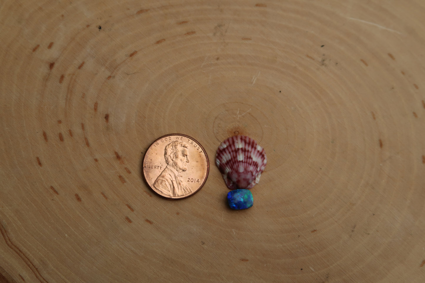 Pink shell and blue opal