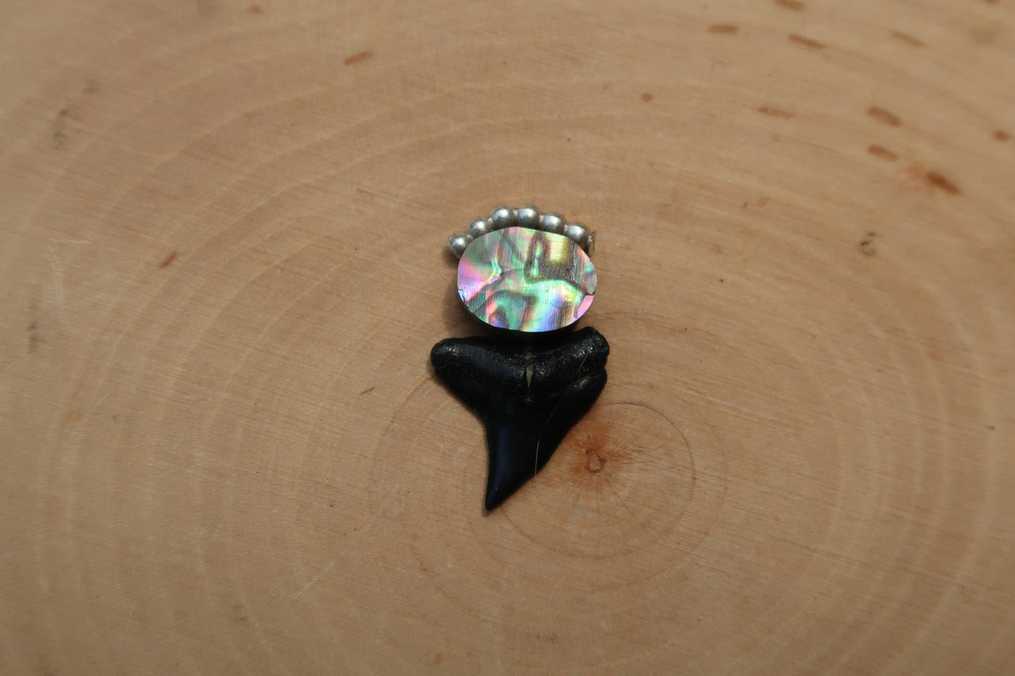 “Touch of pink” abalone shark tooth ring