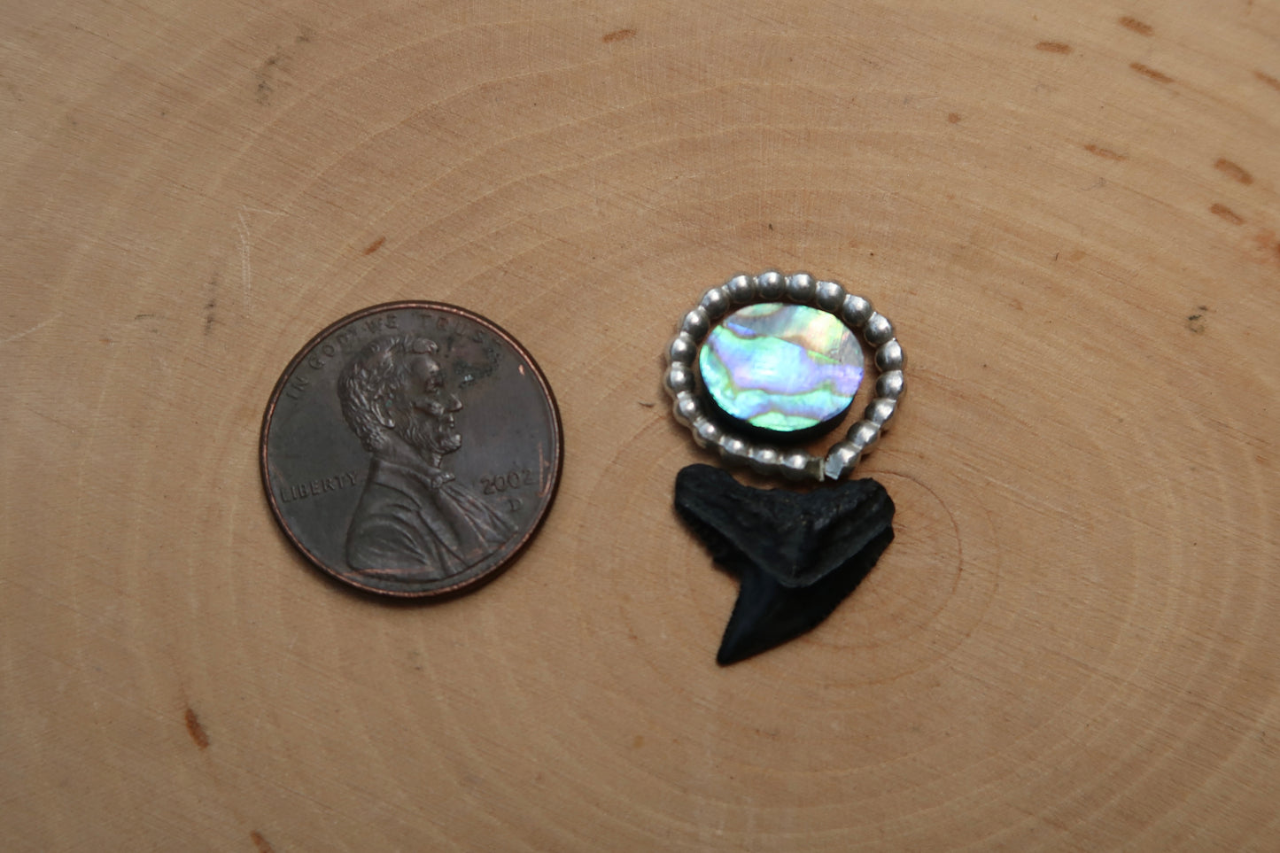 “Ocean eye” abalone shark tooth ring