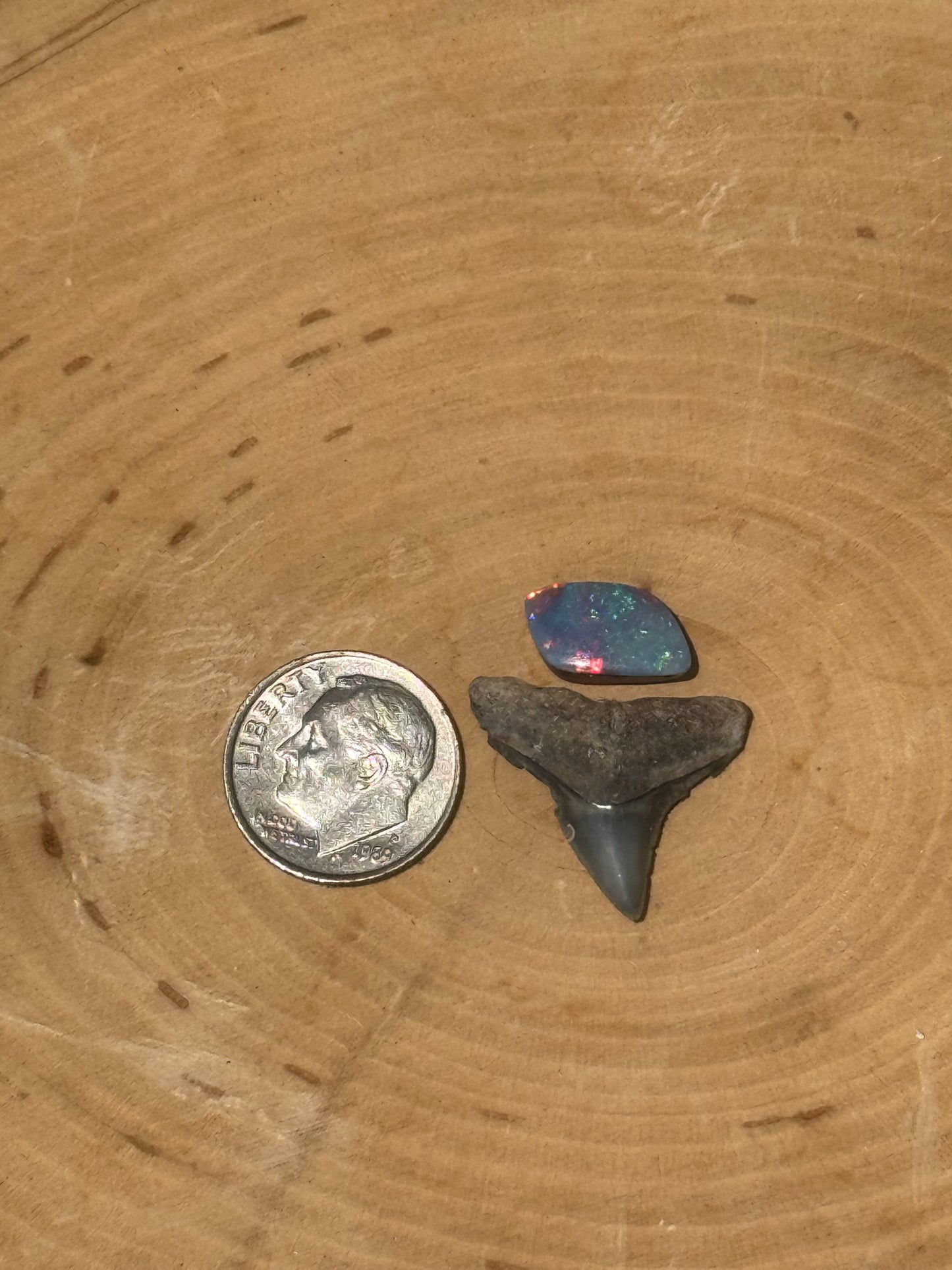 Shark tooth & opal ring- made in your size!