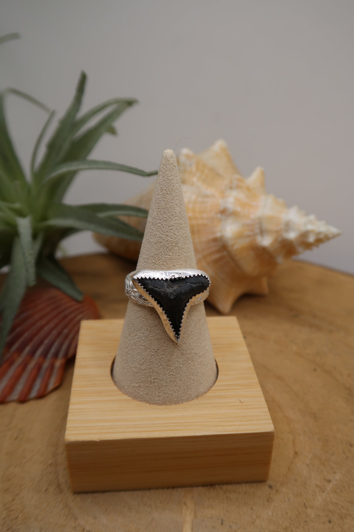 Shark tooth on flower swirl band size 9