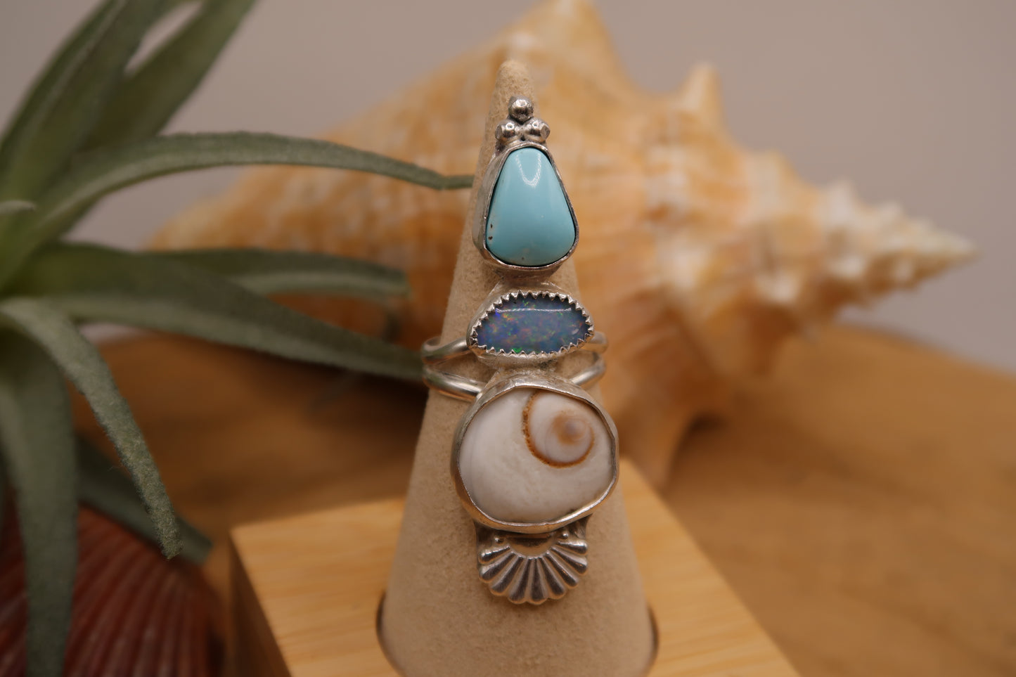 Opal and turquoise shiva shell ring size 6