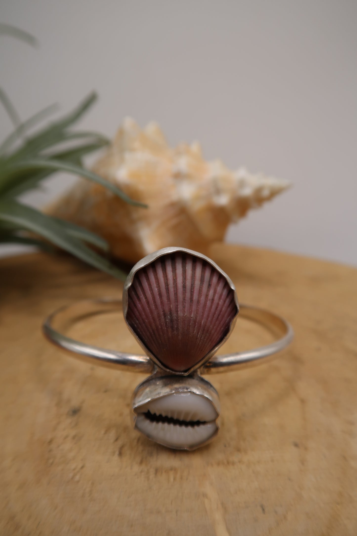 Scallop and cowrie shell cuff