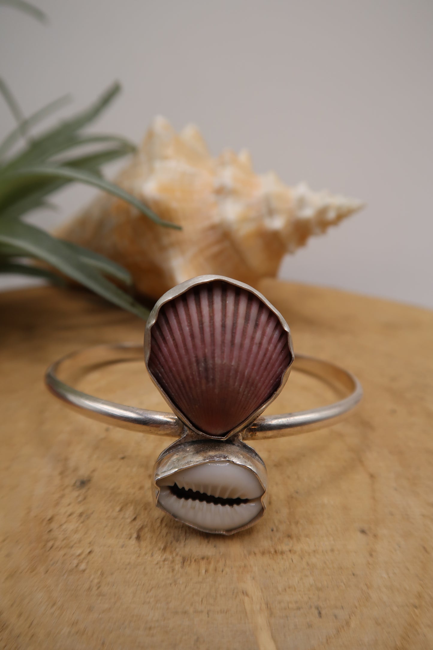 Scallop and cowrie shell cuff