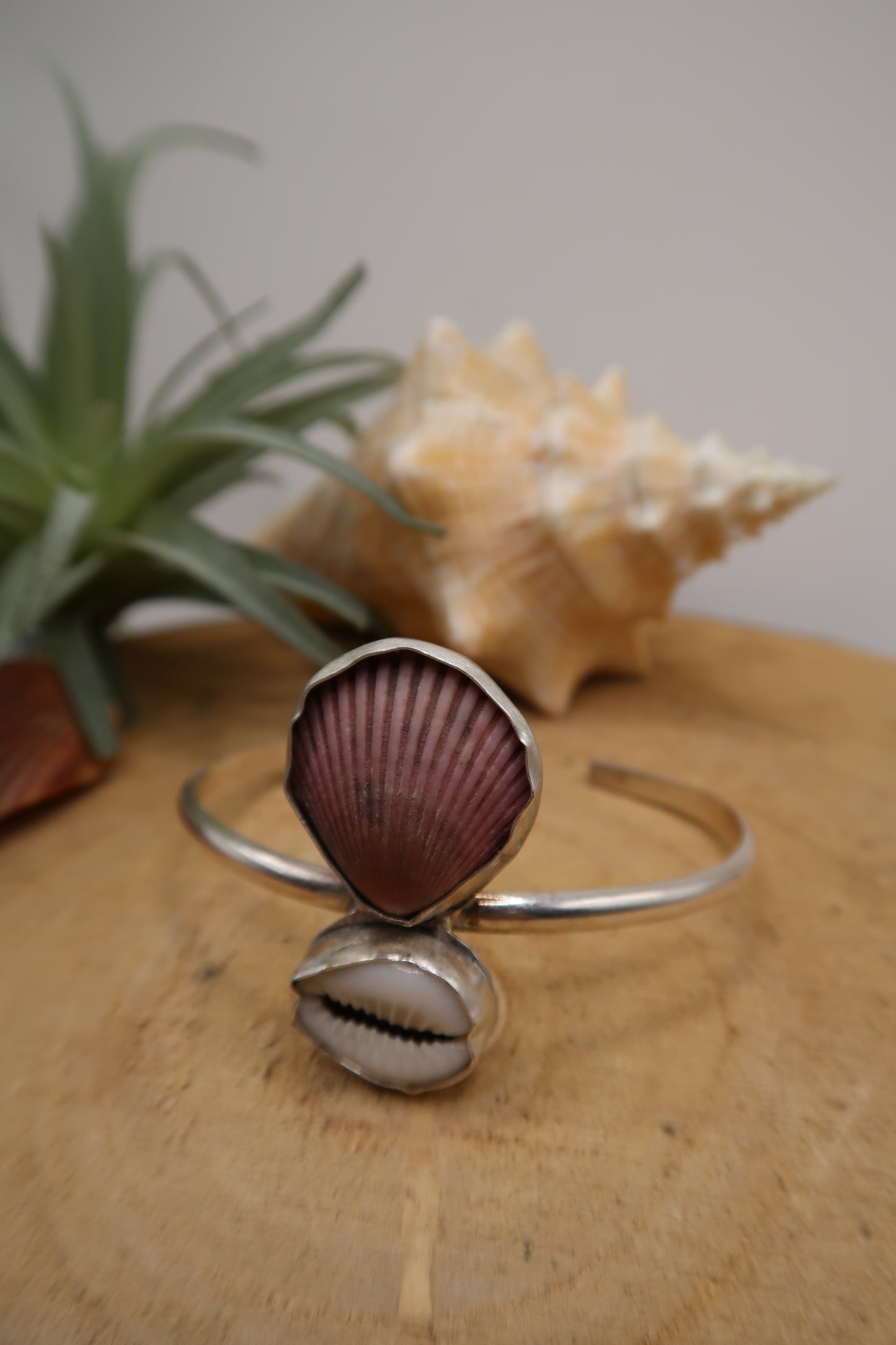 Scallop and cowrie shell cuff