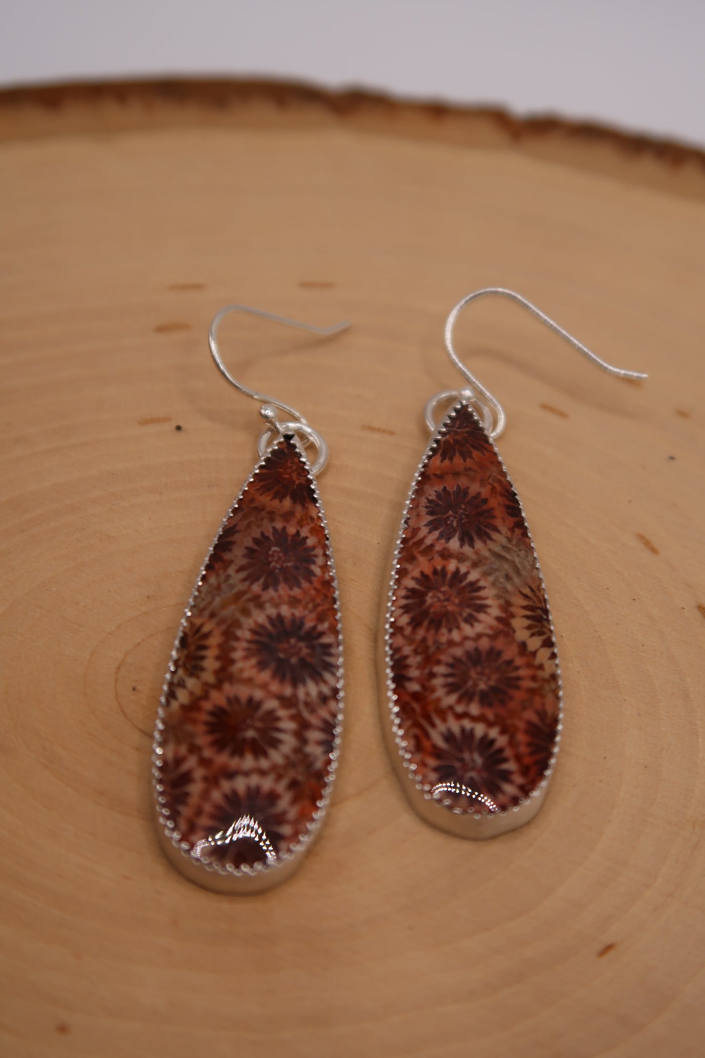Fossilized coral earrings