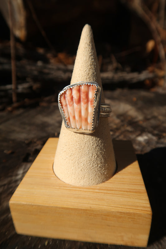 Shell with floral band size 8.5