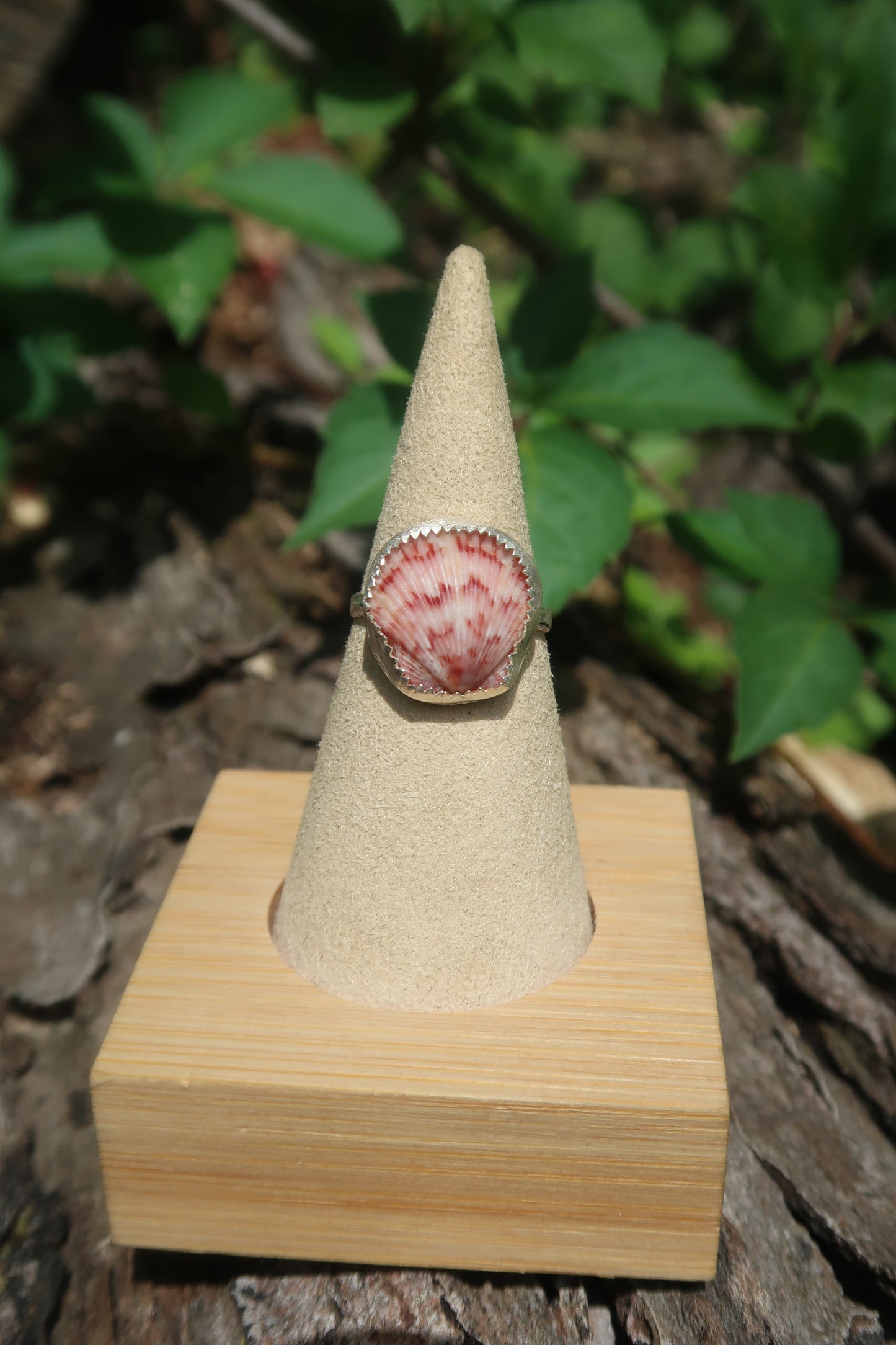 Pick your pink shell ring!