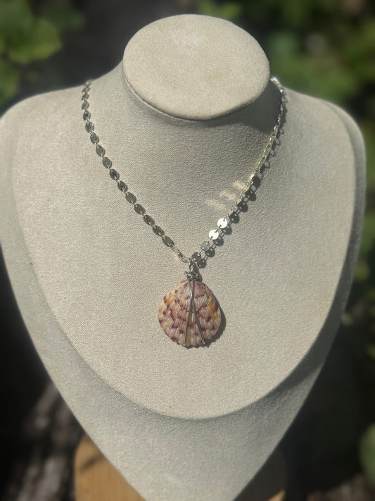 Wire wrapped shell necklace with coin chain 18”