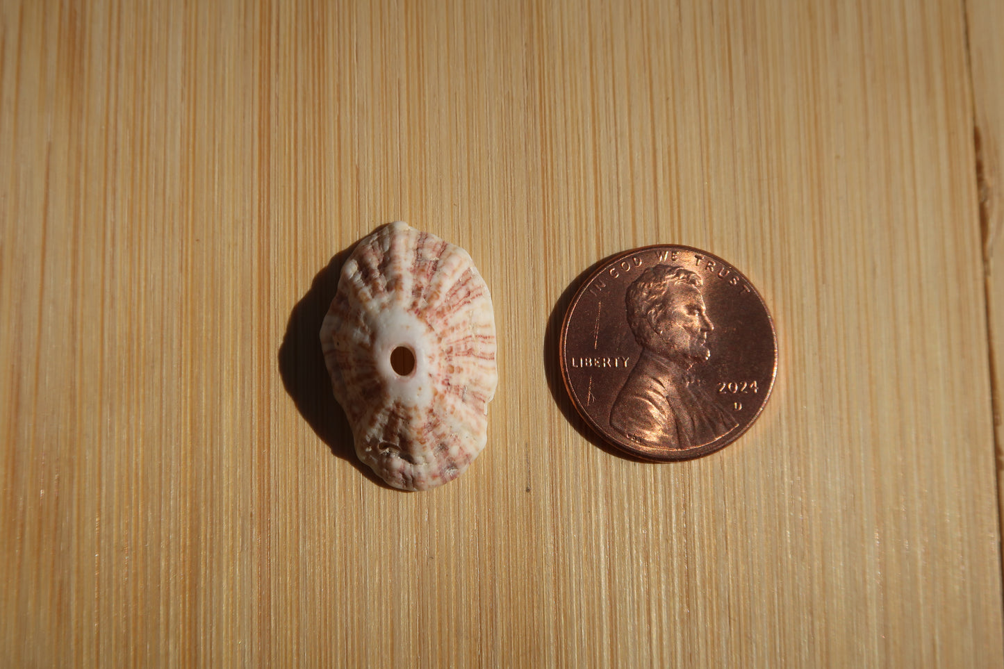 Pink Opihi shell ring-made in your size!