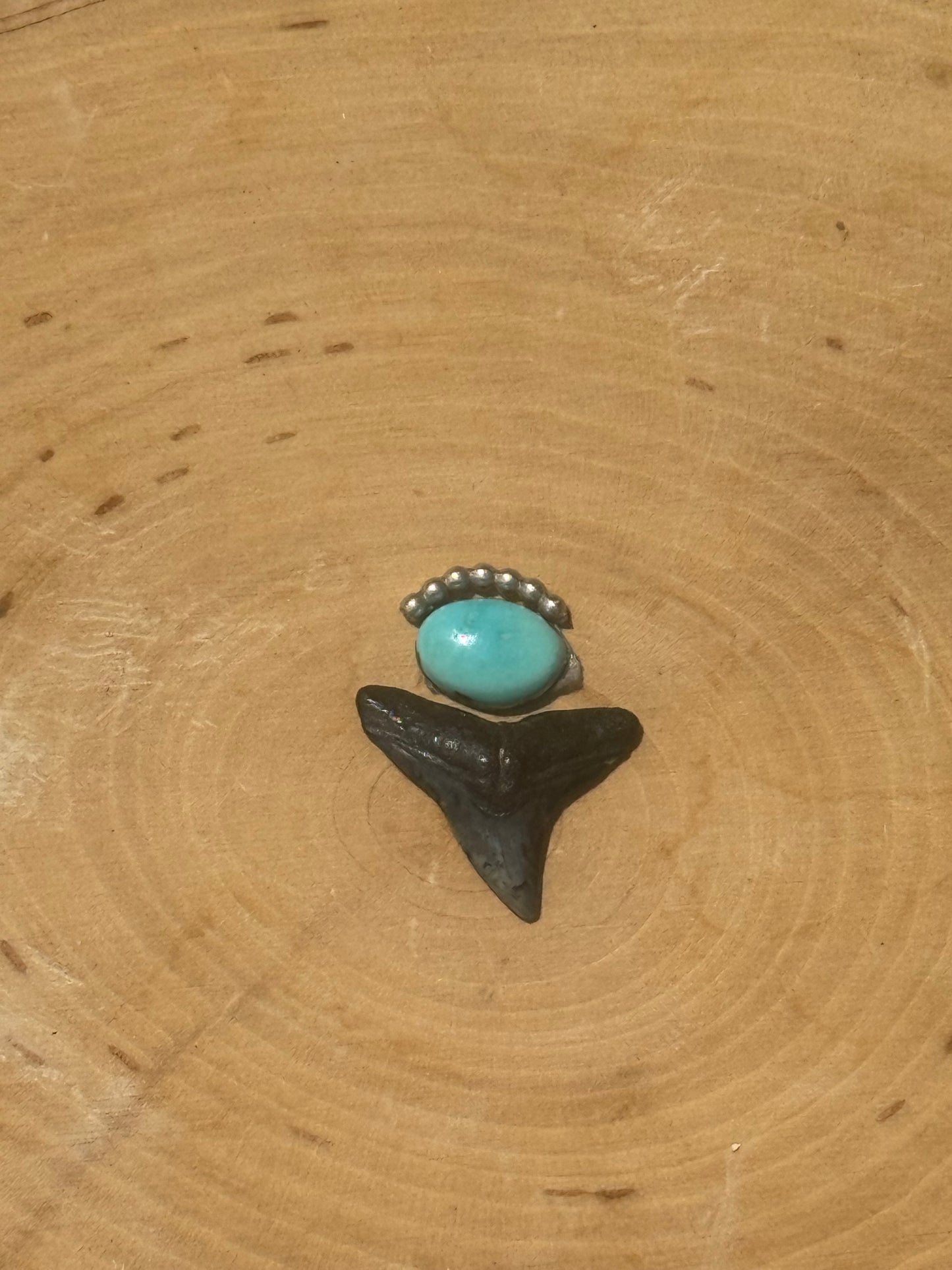 Turquoise & shark tooth ring- made in your size!