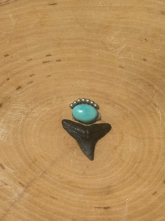 Turquoise & shark tooth ring- made in your size!