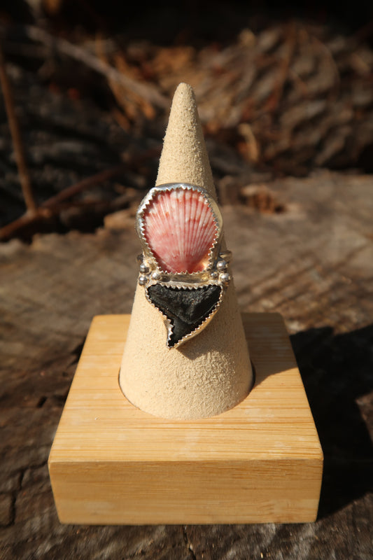 Pink shell with shark tooth ring size 7.75