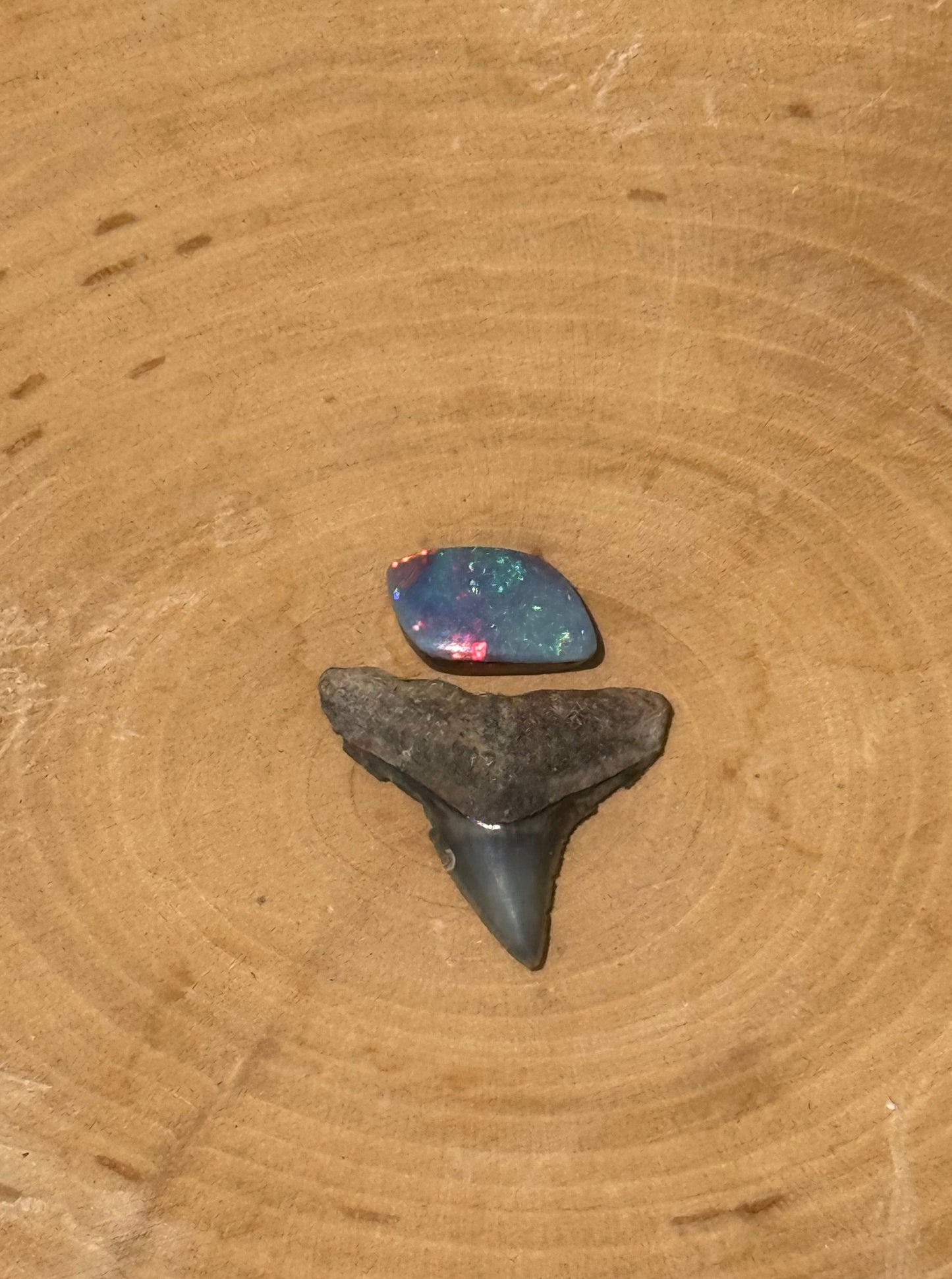 Shark tooth & opal ring- made in your size!