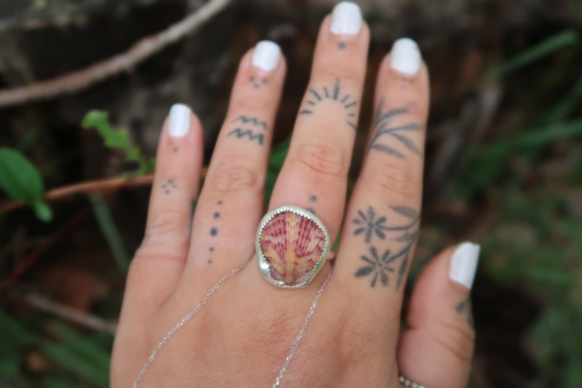 Calico scallop shell ring size 8.5