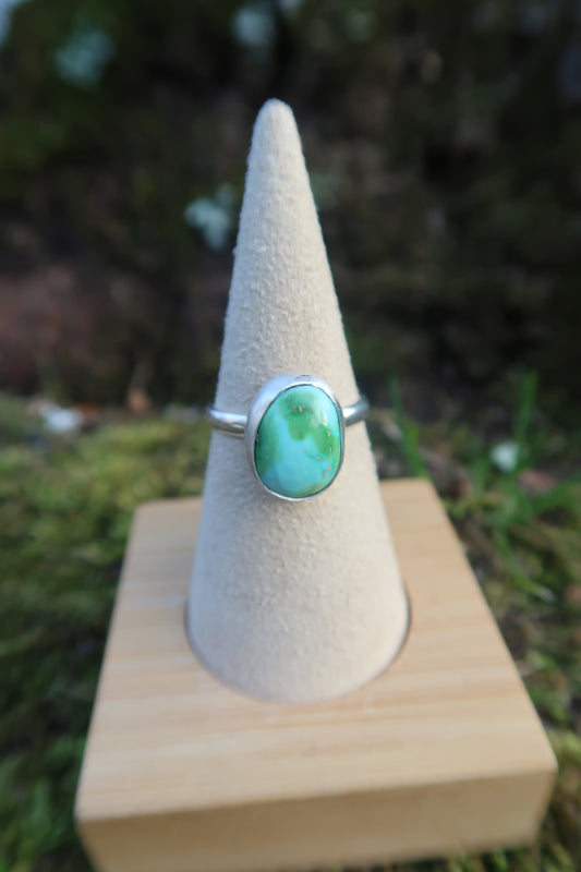 Lil earth turquoise size 6.75