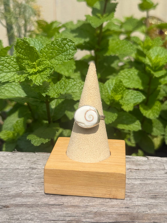 Shiva eye shell ring size 8.5