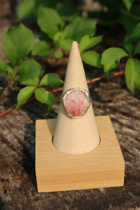 Pink shell size 8