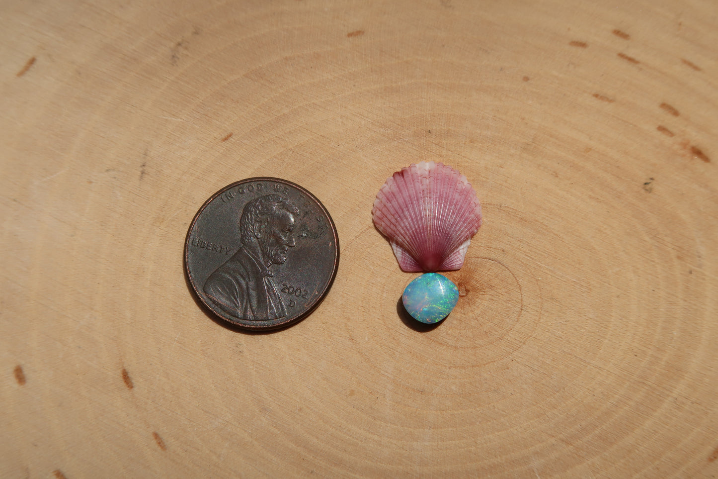 Plain shell and opal ring