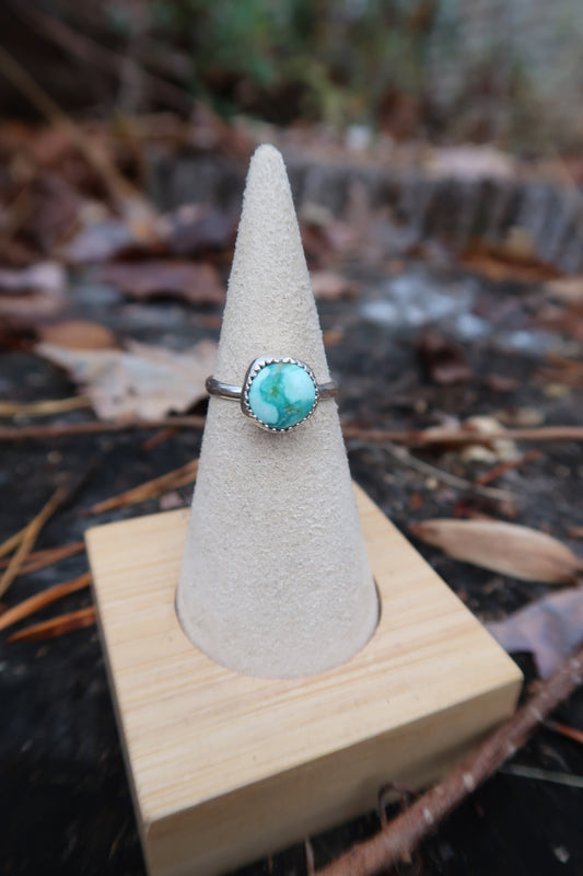 Baby turquoise size 5