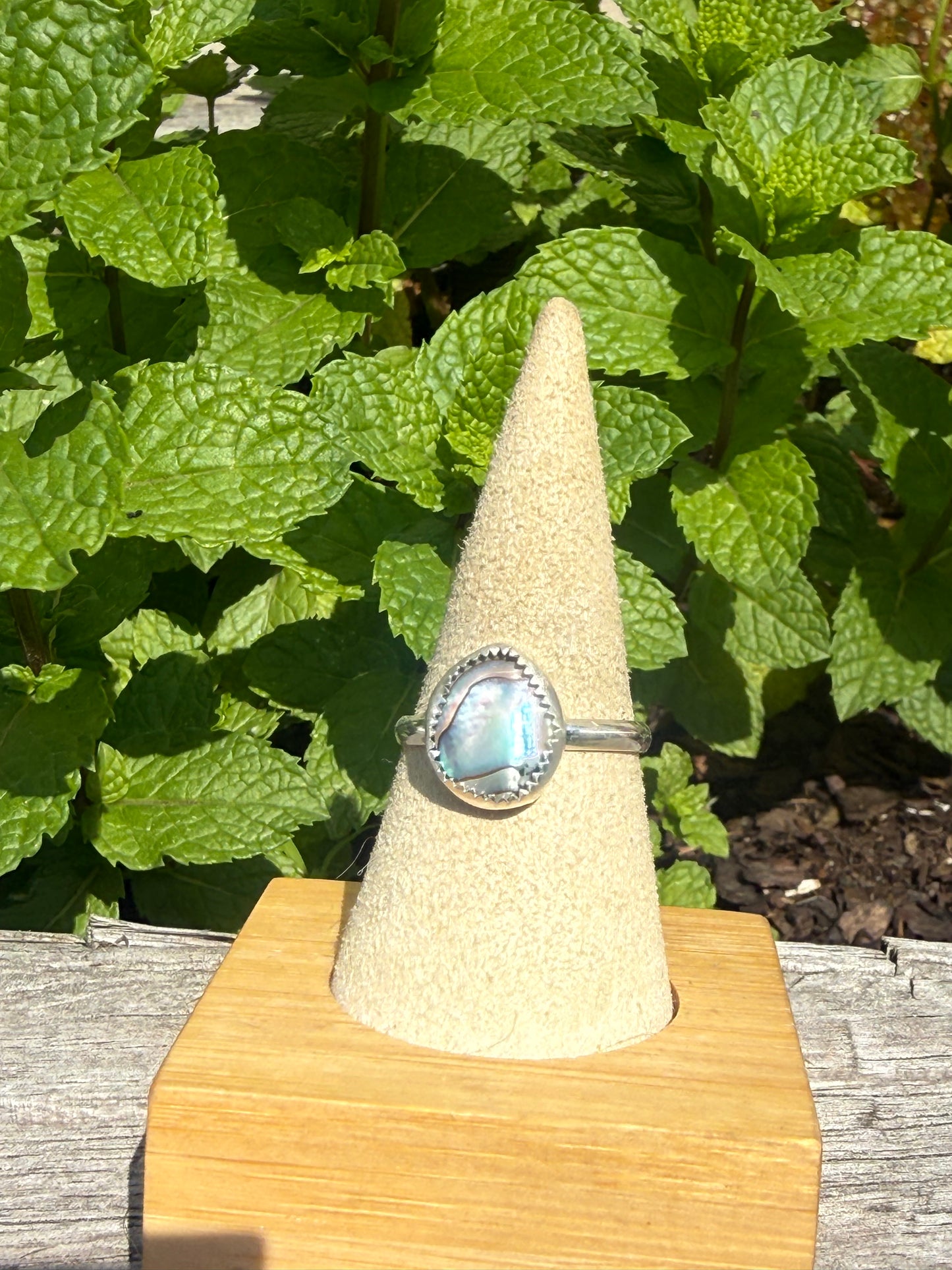 Abalone shell ring size 10