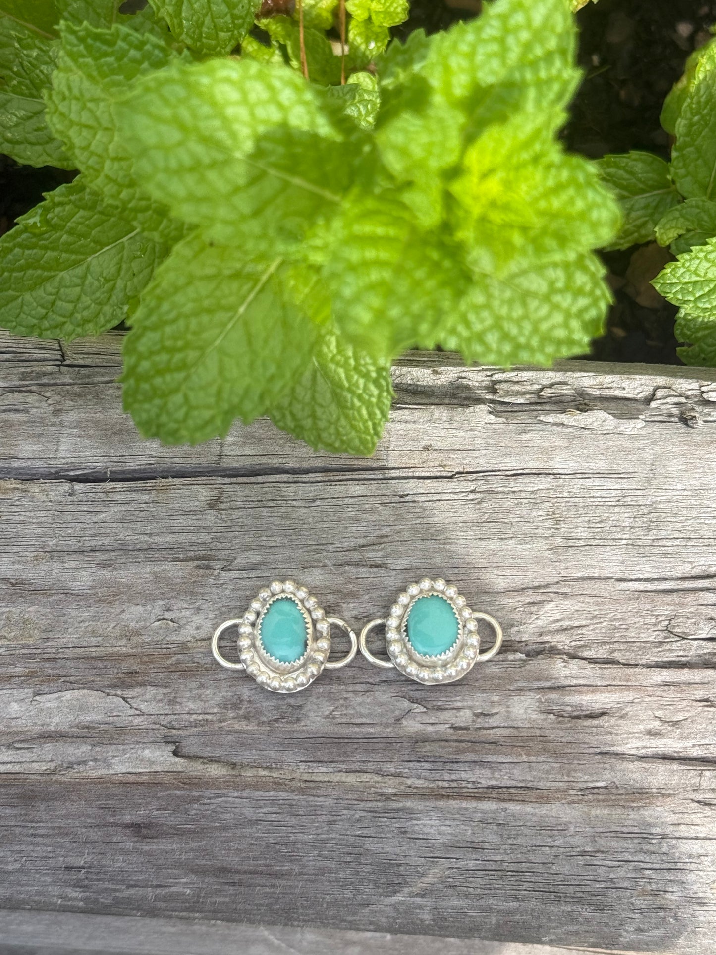 Turquoise shoe charms