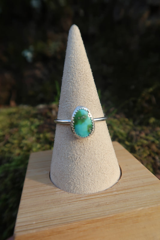 Mini earth turquoise size 10