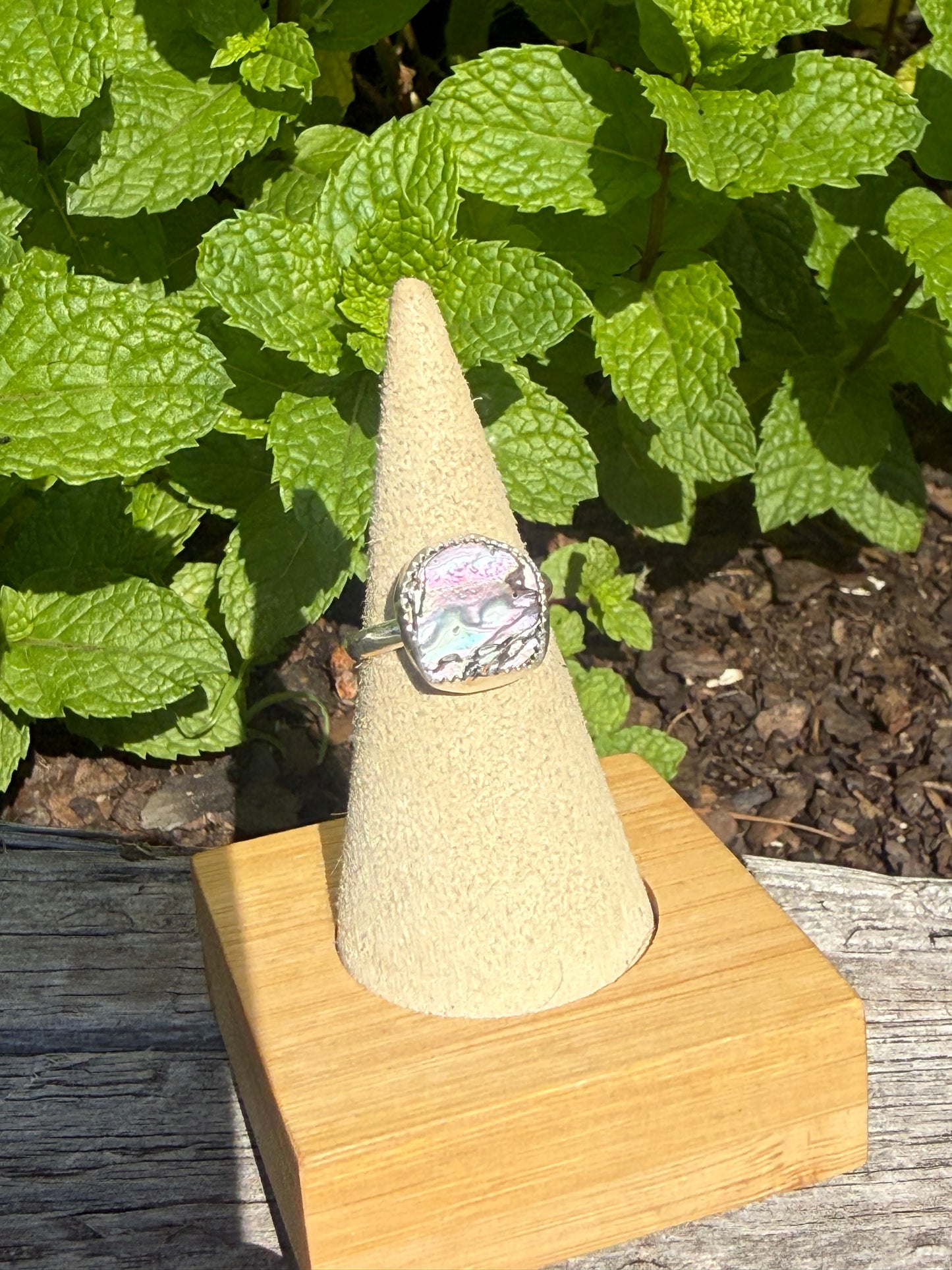 Abalone shell ring size 7