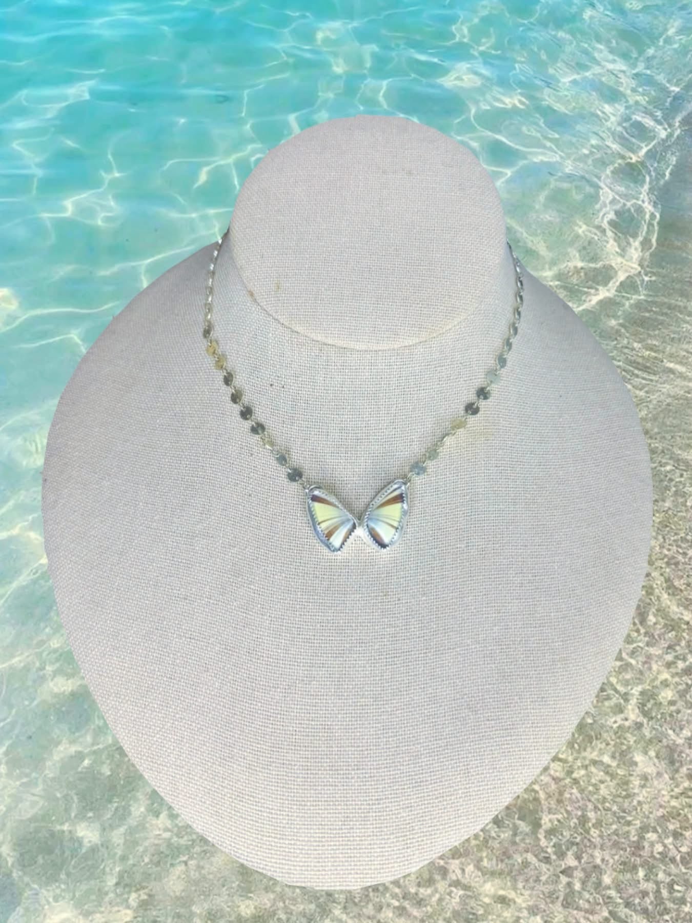 Butterfly shell necklace on sterling silver 18” disc chain