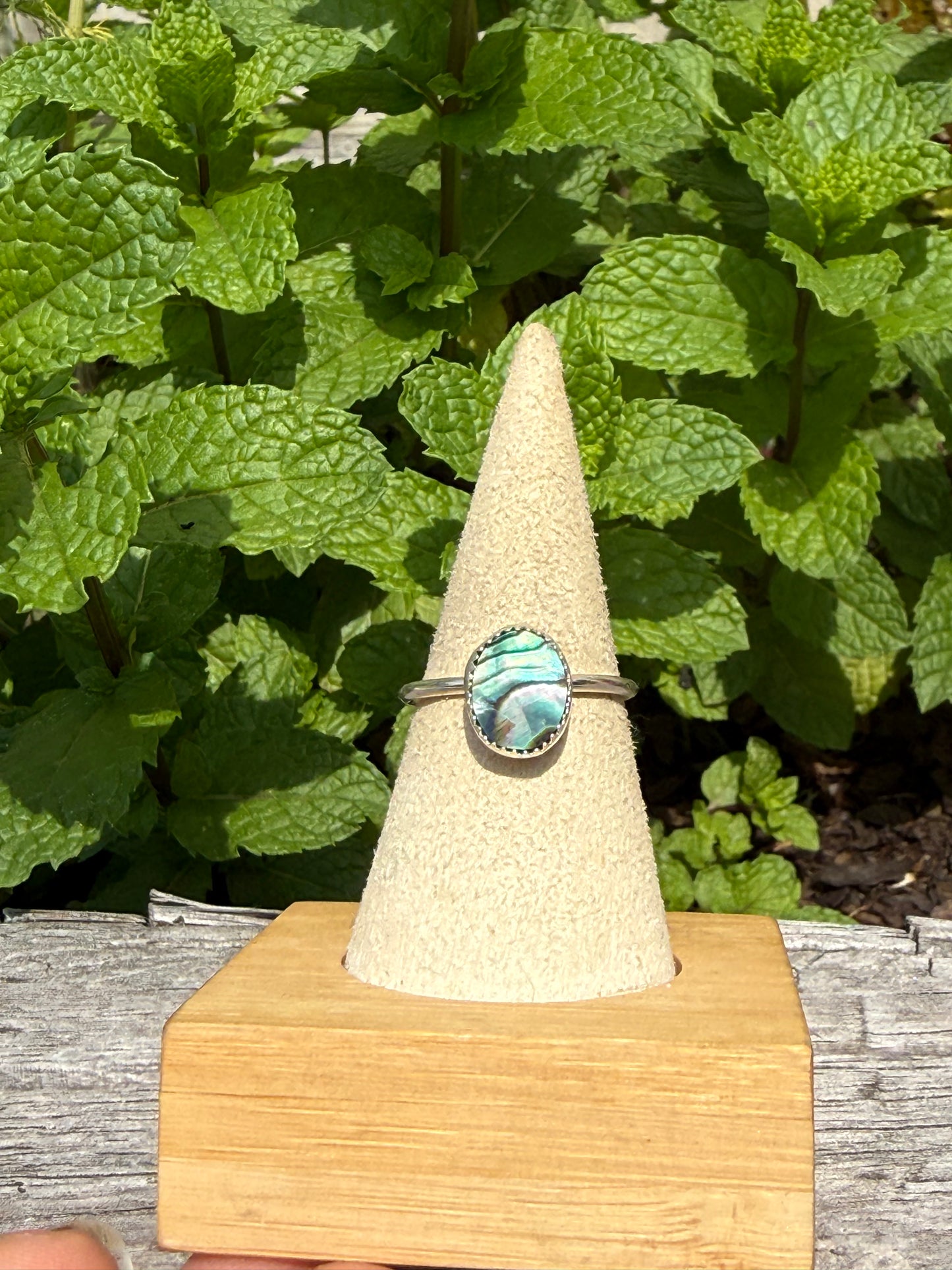 Abalone shell ring size 8.5