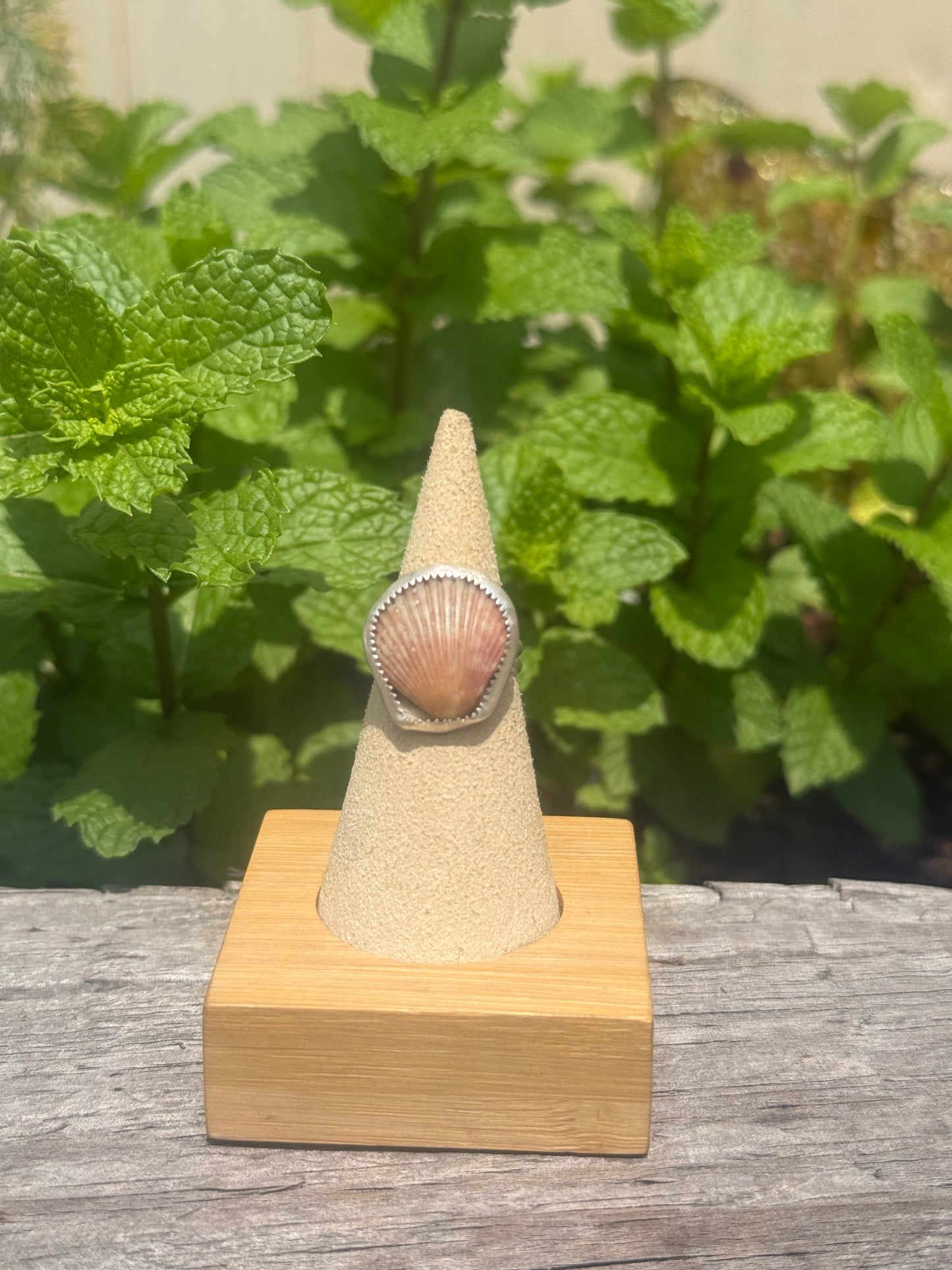 Seashell ring on double band size 6
