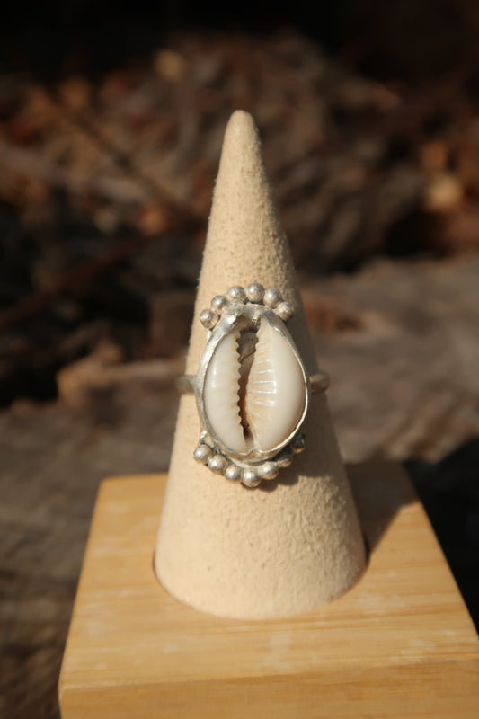 Queen cowrie shell ring size 9