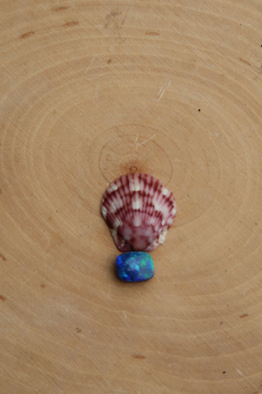 Pink shell and blue opal