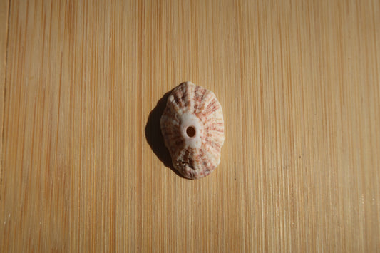 Pink Opihi shell ring-made in your size!