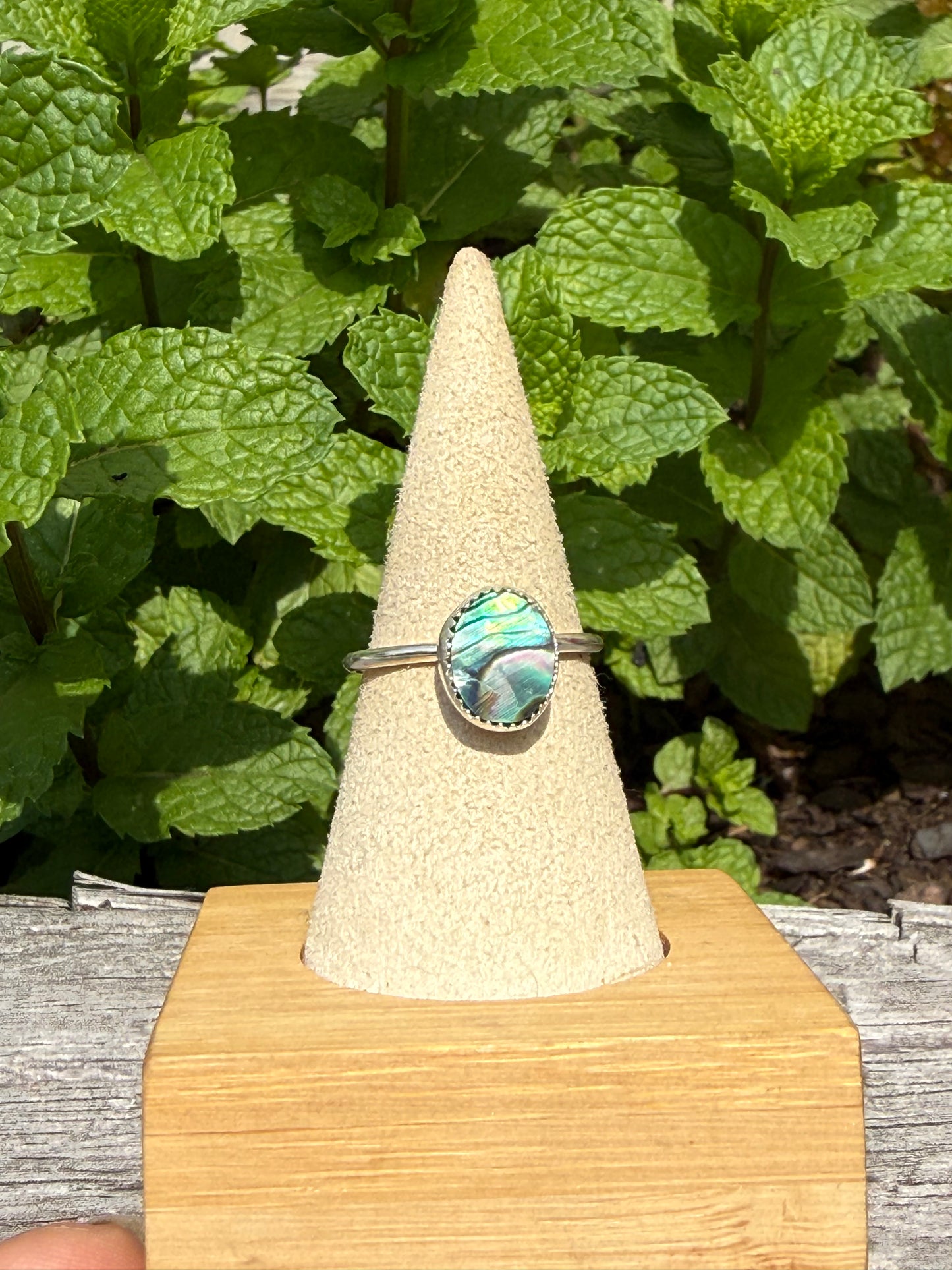 Abalone shell ring size 8.5